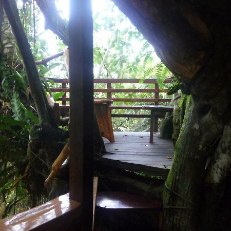 Topos Tree House Cahuita Extérieur photo