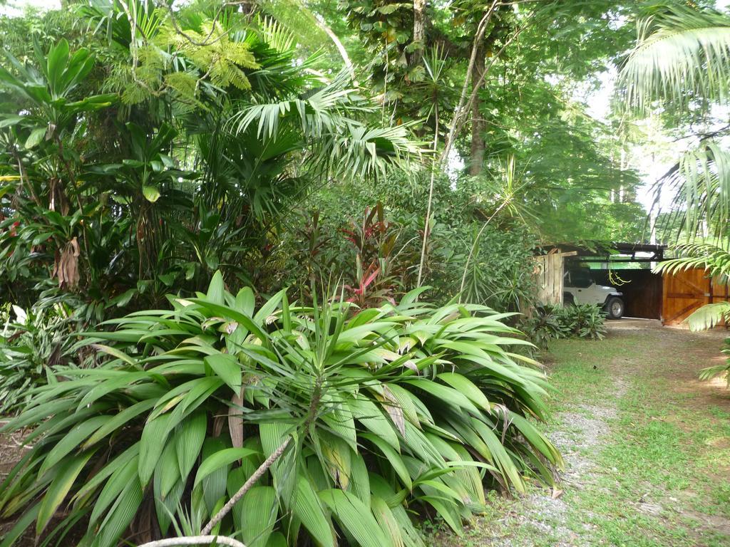 Topos Tree House Cahuita Extérieur photo