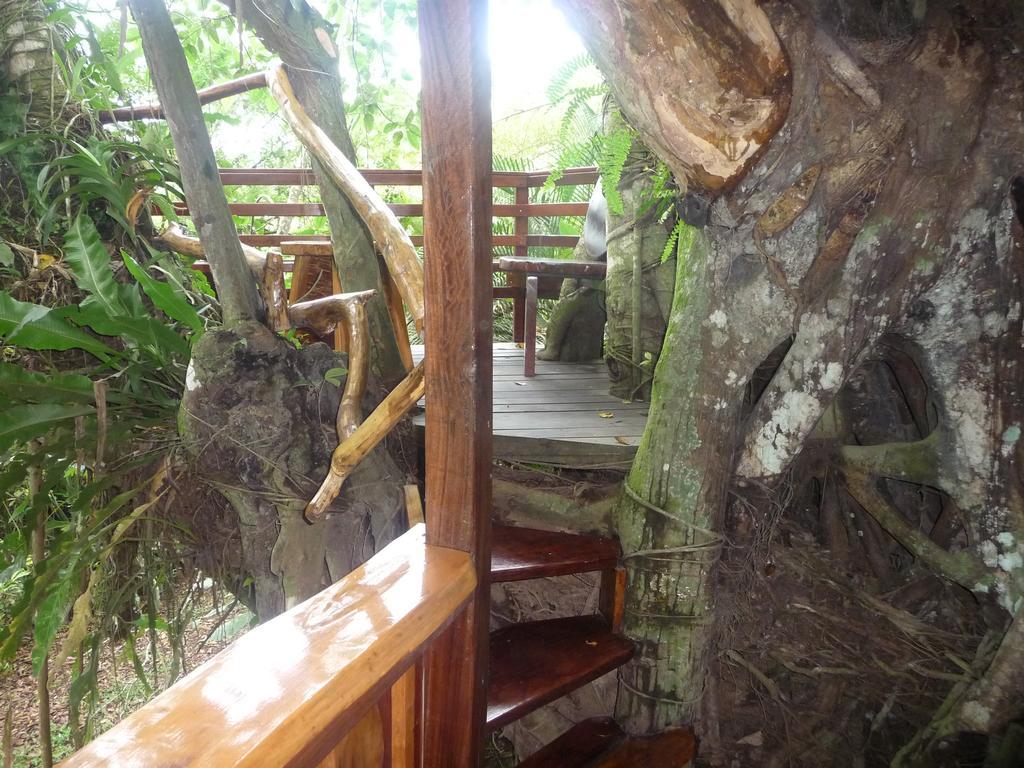 Topos Tree House Cahuita Extérieur photo