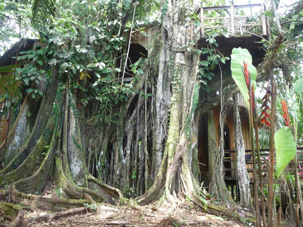 Topos Tree House Cahuita Extérieur photo