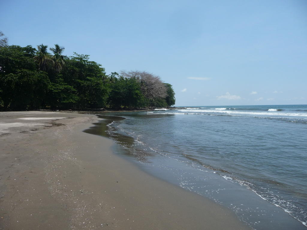 Topos Tree House Cahuita Extérieur photo