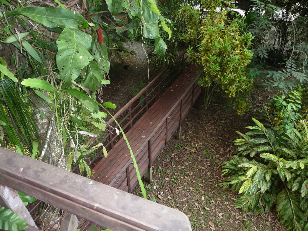 Topos Tree House Cahuita Extérieur photo