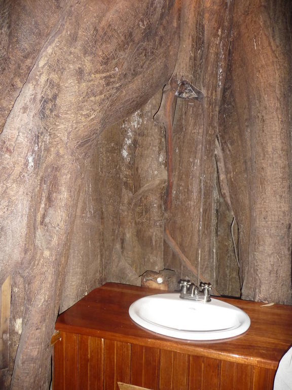 Topos Tree House Cahuita Extérieur photo
