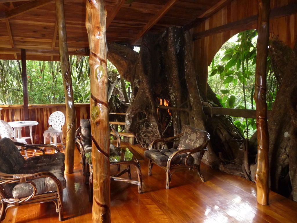 Topos Tree House Cahuita Extérieur photo