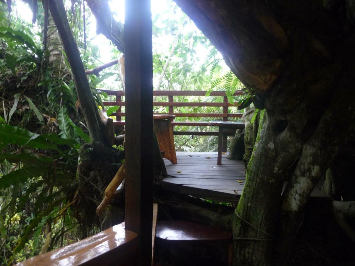 Topos Tree House Cahuita Extérieur photo